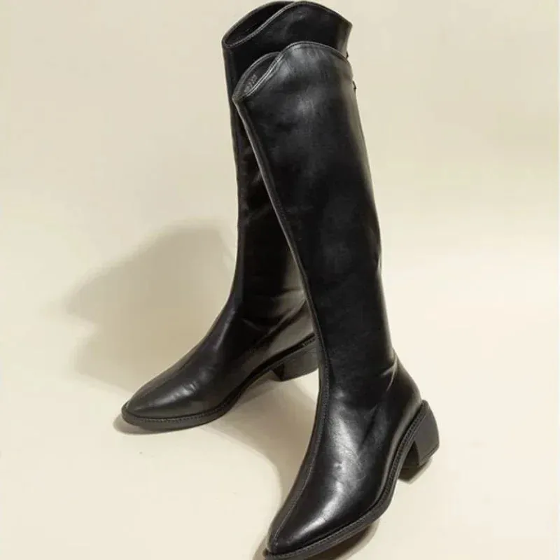 Joskaa Ladies Boots Western Middle Heel Shoes For Women Pointed Toe Footwear Winter Knee High Shaft Punk Long With Stylish Y2k Pu